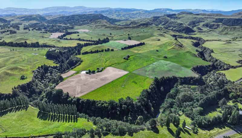 4551 Wairoa Road, Tutira
