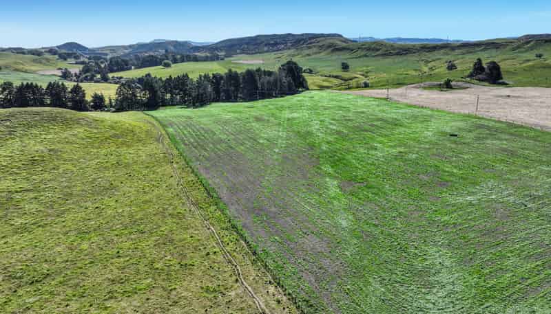4551 Wairoa Road, Tutira