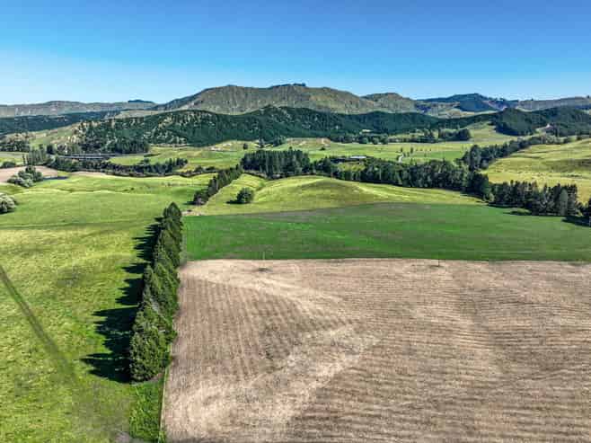 4551 Wairoa Road, Tutira