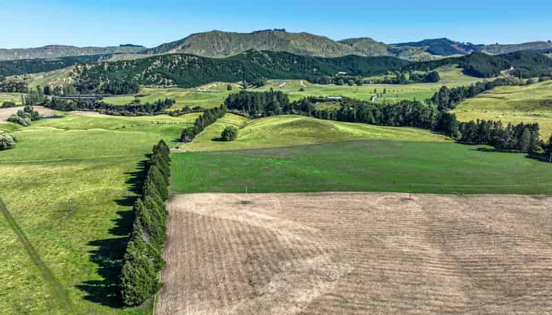 4551 Wairoa Road, Tutira