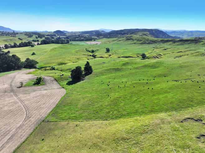 4551 Wairoa Road, Tutira