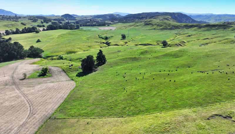 4551 Wairoa Road, Tutira