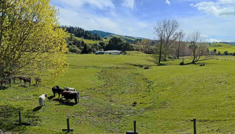 468 Waikoau Road, Tutira