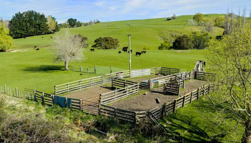 468 Waikoau Road, Tutira