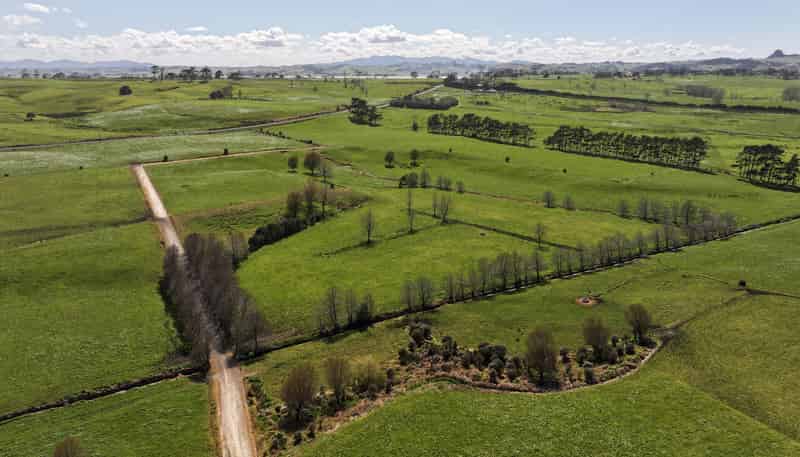 455 West Coast Road, Te Kopuru