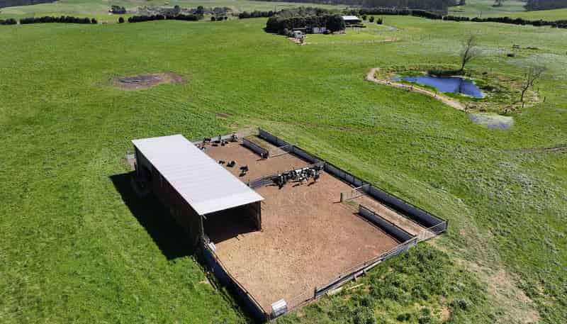 455 West Coast Road, Te Kopuru