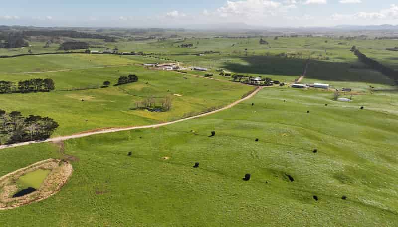 455 West Coast Road, Te Kopuru