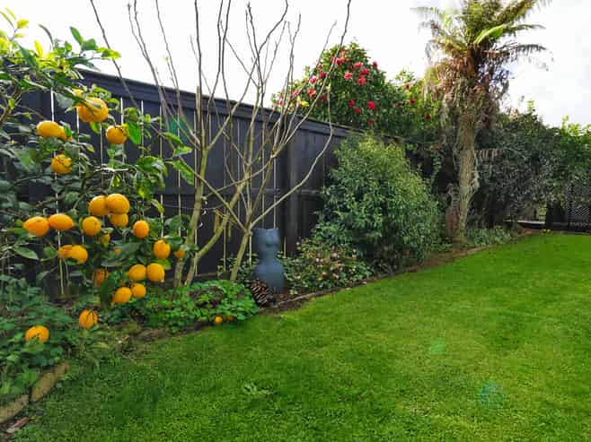 16B Cunningham Road, Beerescourt