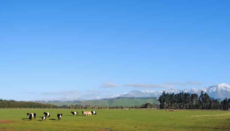 1290 Ramparts Road, Manapouri