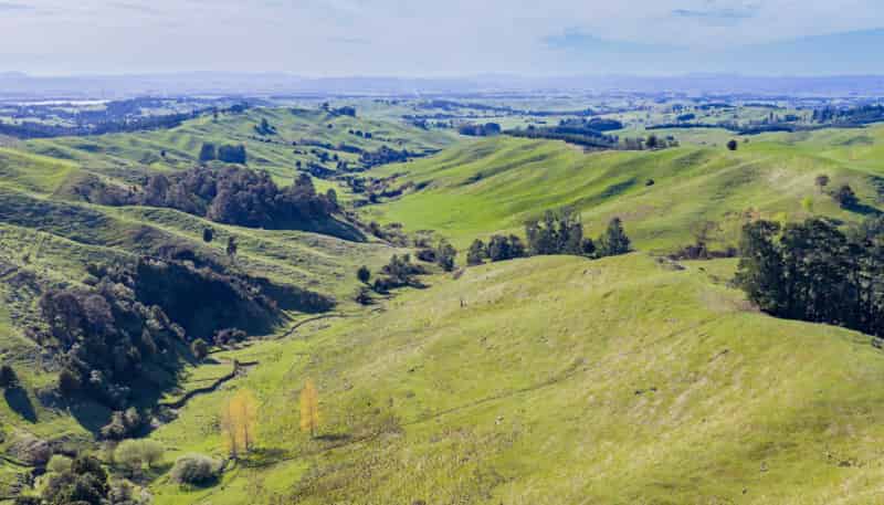 1139 Blackburn Road, Flemington