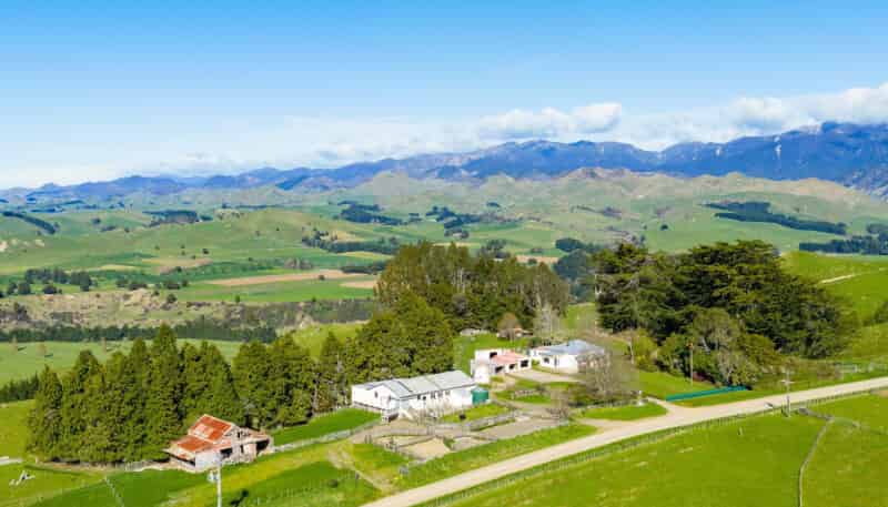 1139 Blackburn Road, Flemington