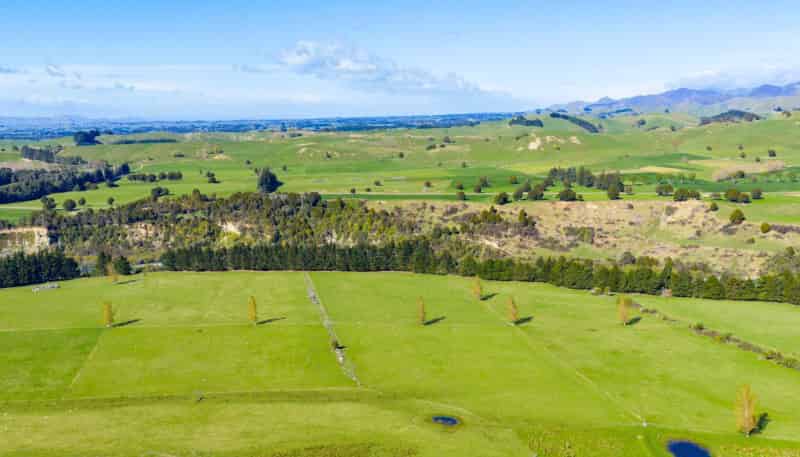 1139 Blackburn Road, Flemington