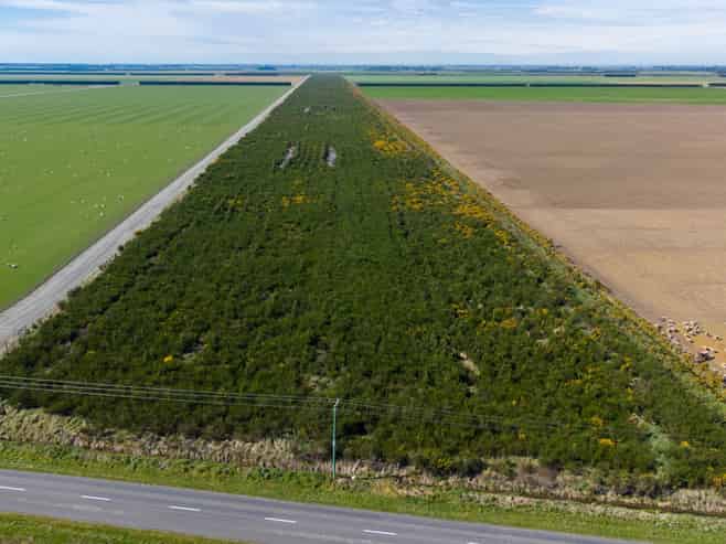 Company Road, Ashburton