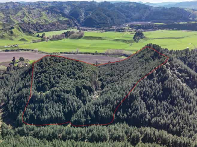  Okirae Road, Mangamahu