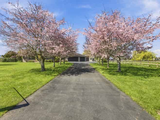 61 Everad Avenue, Matamata