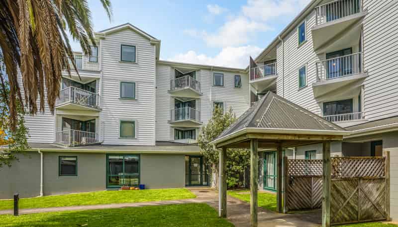 C4/13 Palm Grove, Berhampore