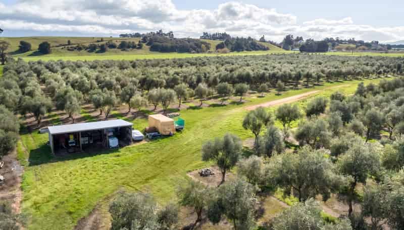 244 Dakins Road, East Taratahi