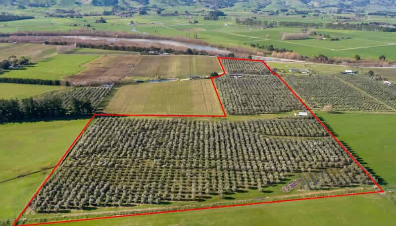 244 Dakins Road, East Taratahi