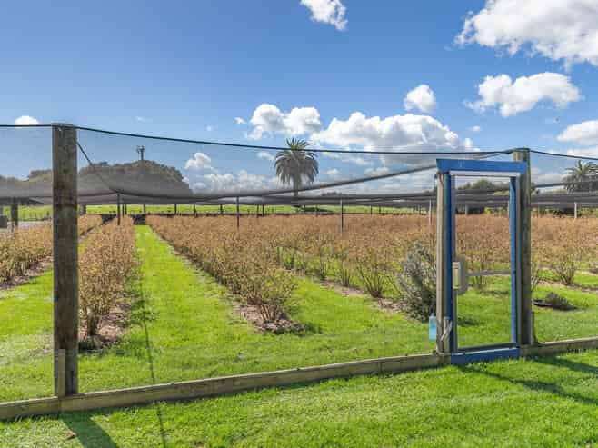 85 Papaitonga Lake Road, Ohau