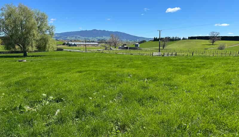 162 Bowman Road, Te Awamutu