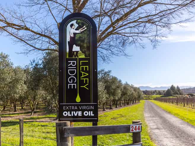 Leafyridge Olives  The Ultimate Lifestyle Business