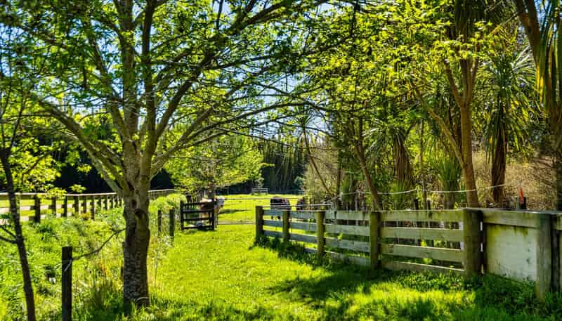 139 Lochhead Road, Te Puna