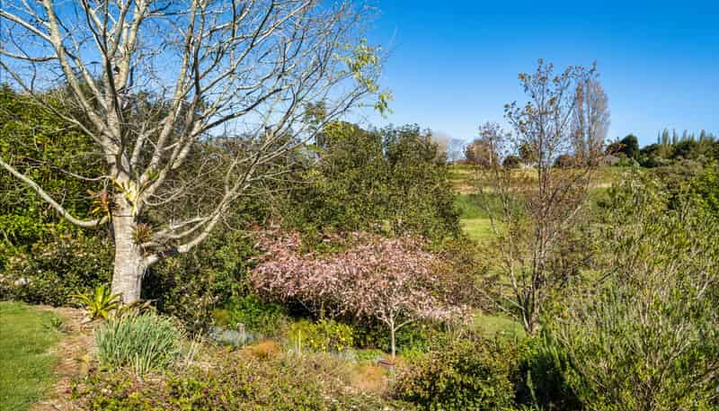 139 Lochhead Road, Te Puna
