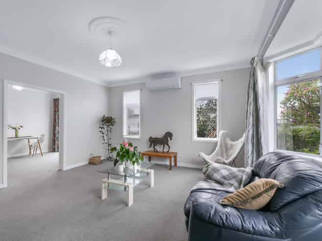 22 Mckenzie Street, Levin