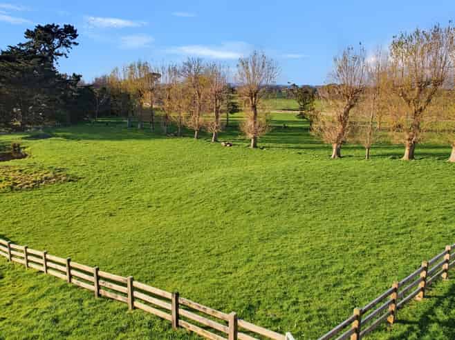30 Forest Hill Road, Aokautere