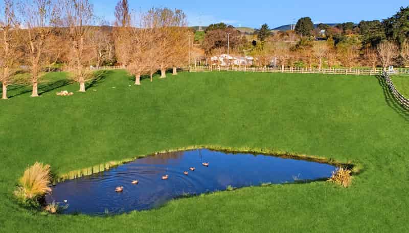 30 Forest Hill Road, Aokautere