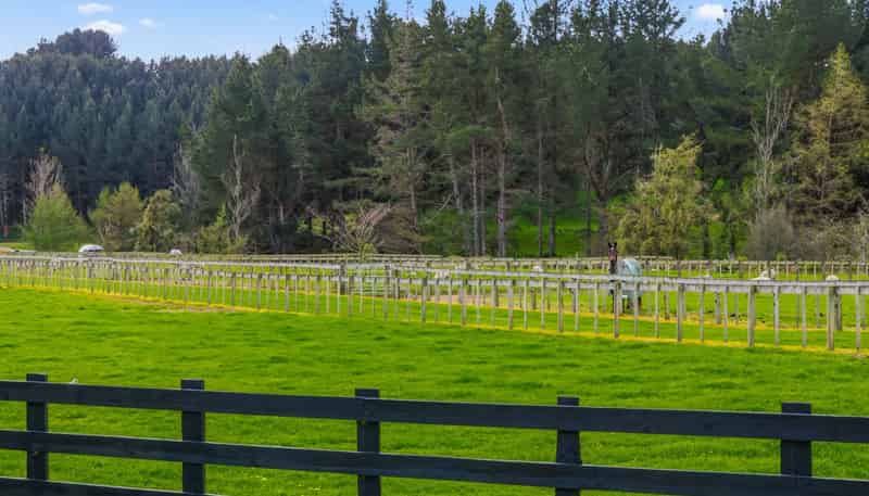184 Butcher Road, Rotokawa