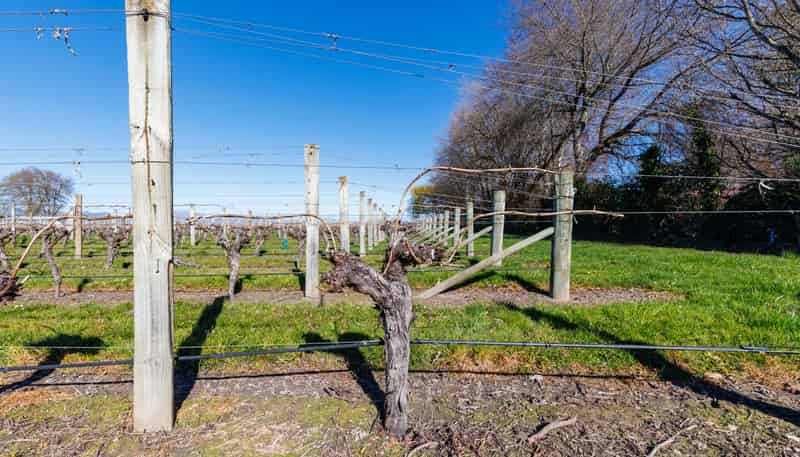 152 Murrays Road, Spring Creek