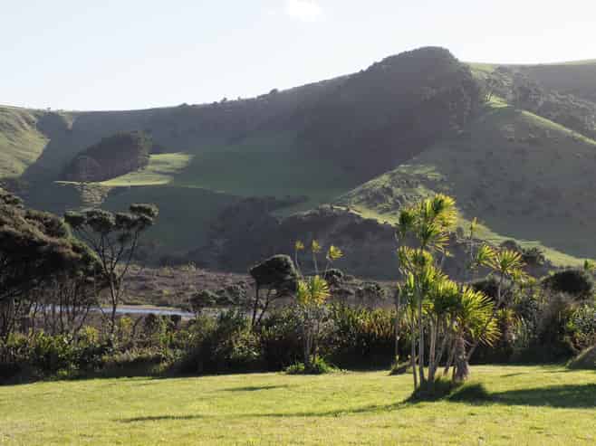 158 Bethells Road, Bethells Beach