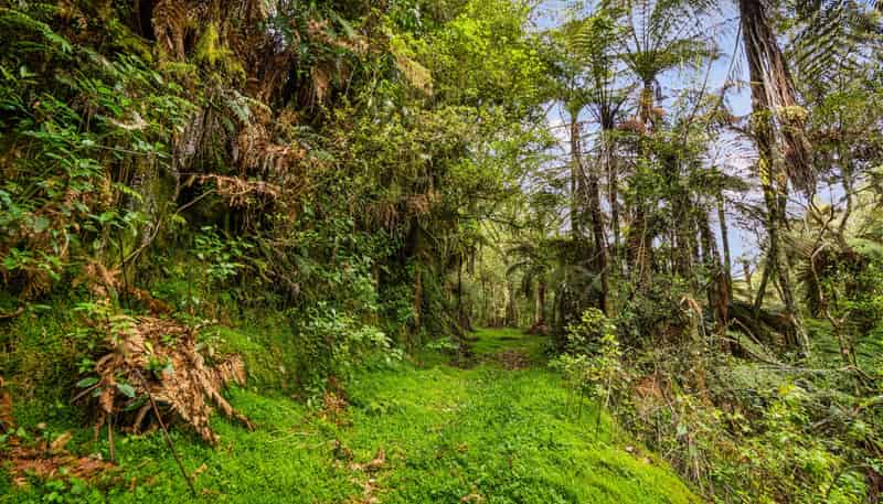 20 McLaren Falls Road, Lower Kaimai