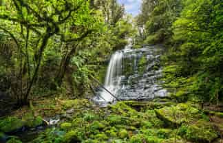 20 McLaren Falls Road, Lower Kaimai