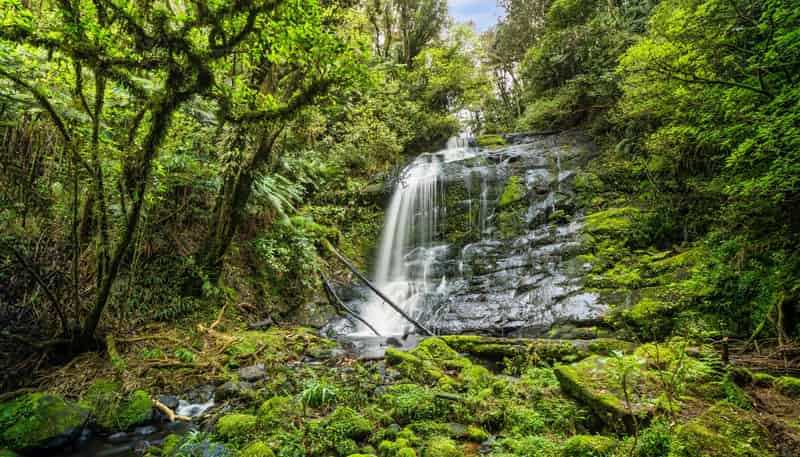 20 McLaren Falls Road, Lower Kaimai