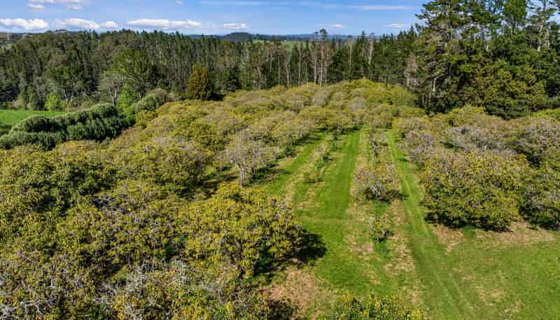 20 McLaren Falls Road, Lower Kaimai