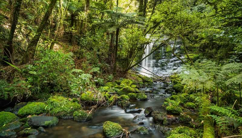 20 McLaren Falls Road, Lower Kaimai