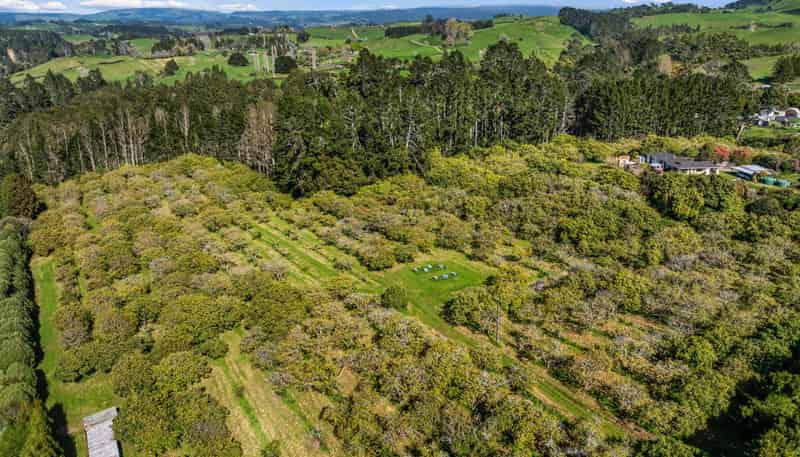 20 McLaren Falls Road, Lower Kaimai