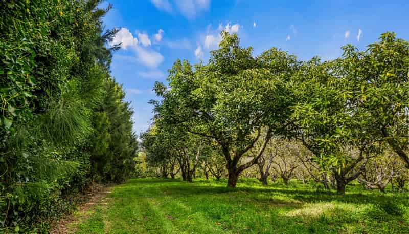20 McLaren Falls Road, Lower Kaimai