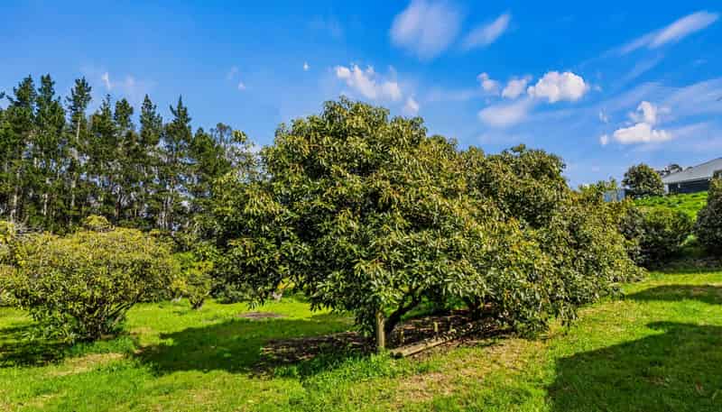 20 McLaren Falls Road, Lower Kaimai