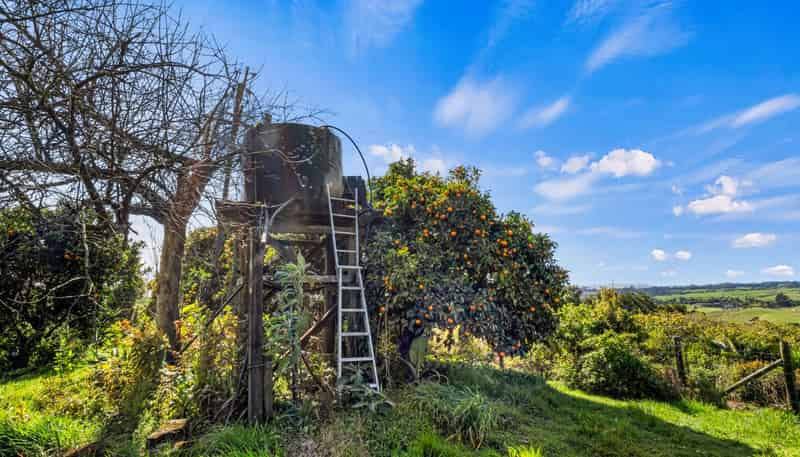 20 McLaren Falls Road, Lower Kaimai