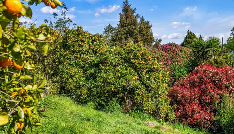 20 McLaren Falls Road, Lower Kaimai