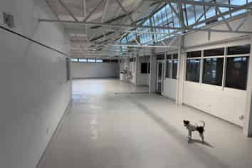 Renovated Industrial Space