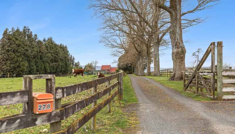 278 Matai Road, Matamata