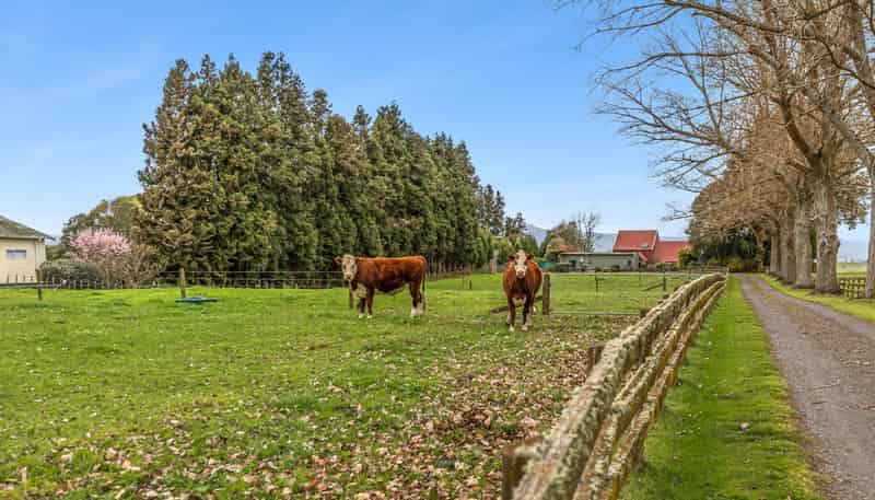 278 Matai Road, Matamata