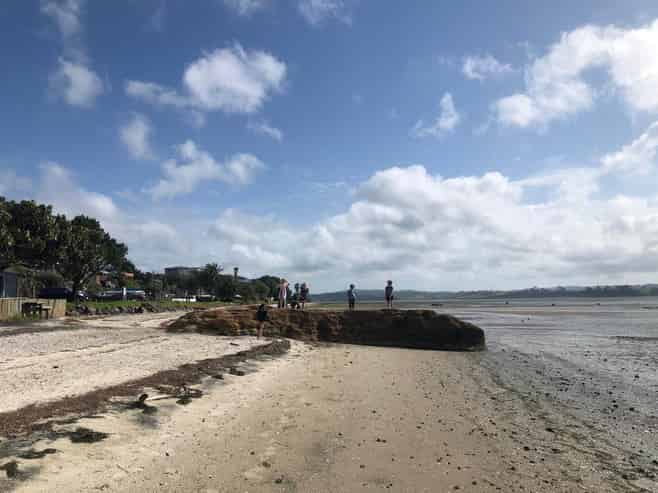 94 Torkar Road, Clarks Beach