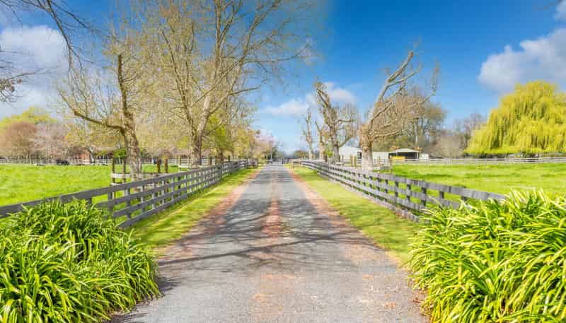256 Kaipaki Road, RD1, Ohaupo