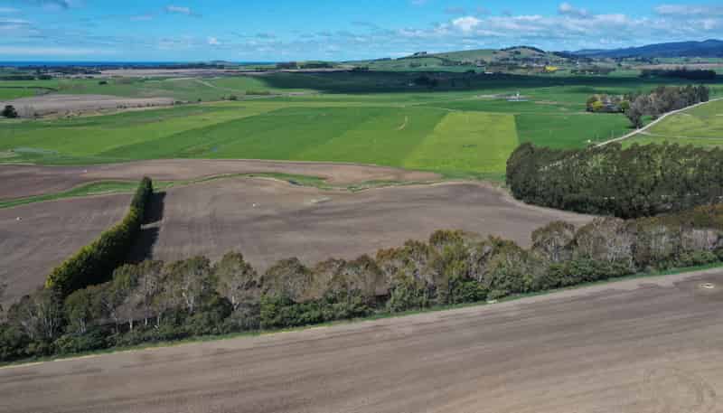 199 Waimotu Road, Maheno