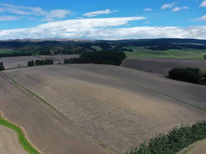 199 Waimotu Road, Maheno